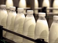 В регионе произвели молока объемом 3 тысячи цистерн