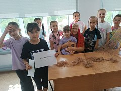 В Александрово-Гайском районе стартовал проект «Слышим каждого»