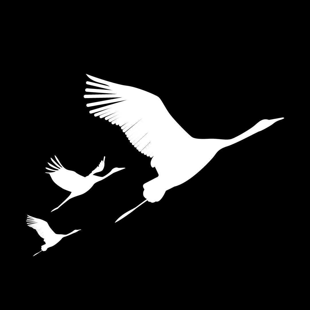 дело 4 20. дело 4 20.