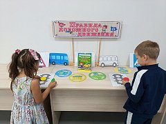 Профилактический час в детской модельной библиотеке села Александров Гай