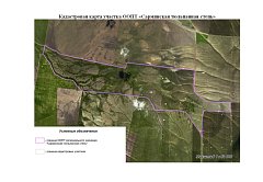 На территории Саратовской области появилась ещё одна особо охраняемая природная территория – «Сарминская тюльпанная степь»