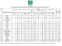 В Александрово-Гайском районе определили самый спортивный коллектив 