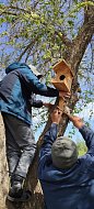 Юные камышковцы отметили Первомай добрыми делами