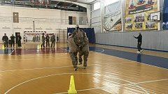 Студенты Александров Гая – чемпионы региональной игры «Вместе мы сила» 