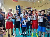 Александрово-Гайские боксёры пополнили копилку побед новыми наградами