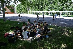 В Александрово-Гайском парке зацвела спирея
