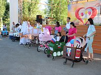 В Александрово-Гайском районе отметили День семьи, любви и верности