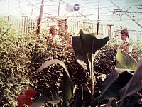 «Заволжские степи» запускают рубрику «История одной фотографии» 