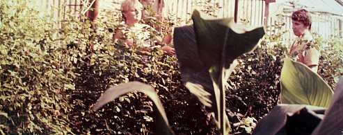 «Заволжские степи» запускают рубрику «История одной фотографии» 