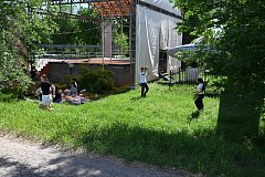 В Александрово-Гайском парке зацвела спирея