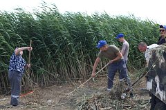 Молодые экоактивисты Александровогайского ЛПУ привели в порядок место отдыха на берегу реки
