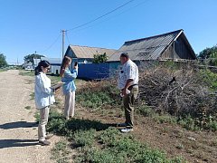 Предупредительные меры против захламления улиц Александрово Гайского района