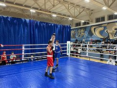 Александровогайские боксёры на межрегиональном турнире в Нижнекамске