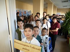 Шахматный триумф Александрово-Гайского района: юные таланты на пьедестале