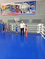 Александровогайцы доминировали на открытом первенстве по боксу