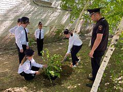 Александровогайские юные друзья полиции провели эколого-патриотическую акцию