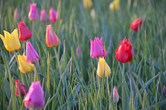Александрово-Гайская степь: когда природа дарит самоцветы