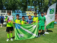 В Александровом Гае стартовал турнир на Кубок губернатора