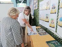 В Александрово-Гайском музее увековечат память героя СВО: мама Константина Бородкина передала материалы для «Альбома памяти»