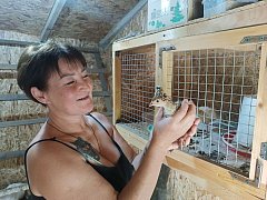 Социальный контракт помог жительнице Александров Гая начать успешное хозяйство