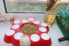 В Александрово-Гайском ЦСОН прошли творческие мастер-классы к Пасхе