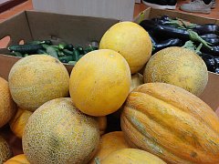В Новоалександровке гудела самая душевная ярмарка