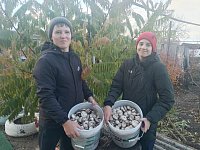 В Александрово-Гайском районе начался сезон «тихой» охоты