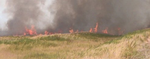 В Александрово-Гайском районе действует особый противопожарный режим