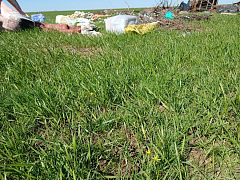 Экохамство продолжается: как избавить алгайцев от «грязных привычек»?