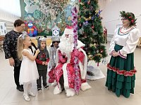 Новогоднее волшебство царит в Александрово-Гайском районе