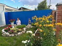 В Александрово-Гайском районе продолжается конкурс на лучшее подворье 