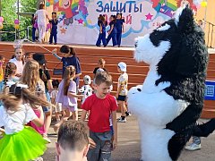 День защиты детей прошел в Александров-Гае