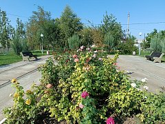 Новоалександровка обновляет спортивную площадку 