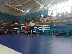 Александровогайские боксёры снова стали призерами регионального турнира
