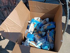 В Александров Гае отмечают День защиты детей