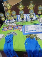 Александрово-Гайский рождественский волейбольный турнир завершился победой гостей