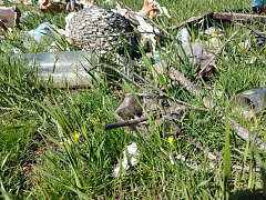 Экохамство продолжается: как избавить алгайцев от «грязных привычек»?