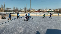 Зимние развлечения в Александров - Гае