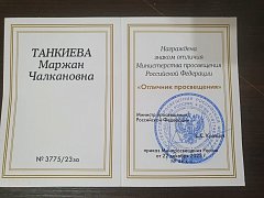 Педагог из Александров Гая награжден знаком отличия Министерства просвещения