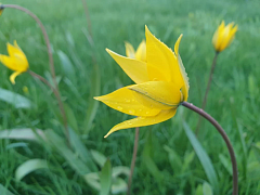 Александрово-Гайская степь: когда природа дарит самоцветы