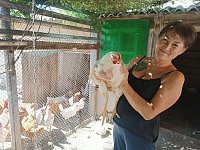 Социальный контракт помог жительнице Александров Гая начать успешное хозяйство