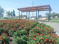 В  Александров Гае  будут обустроены две новые общественные зоны