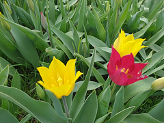 Александрово-Гайская степь: когда природа дарит самоцветы