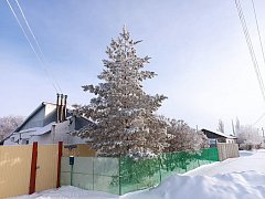 Зимняя красота Александрово-Гайского района вдохновляет на активный отдых и добрые дела