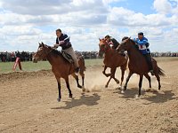 В Александров Гае прошли конные скачки
