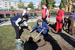 «Быть воином – это жить вечно»: александровогайцы высадили именные тополя в память героев СВО