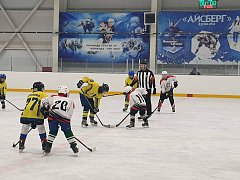 Александровогайские хоккеисты завоевали бронзу турнира «Золотая шайба»