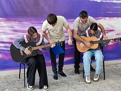 В Доме культуры села Камышки прошёл урок игры на гитаре для школьников