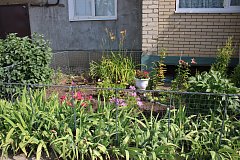Алгайская страсть к прекрасному: как заботливые руки меняют облик родного края
