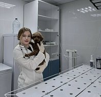 Молодой ветеринар из столицы выбирает простор алгайской степи